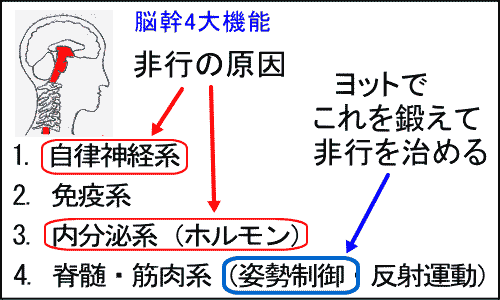 脳幹(姿勢制御)機能を鍛えて精神の不調(非行)を抑える