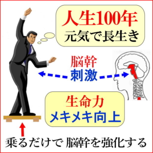人生100年の友「脳幹トレーニングセット」